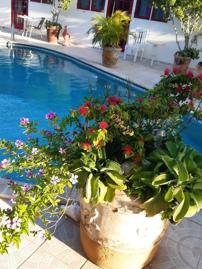 Harmony Hotel Hostel Aruba Tanki Leendert Apartahotel