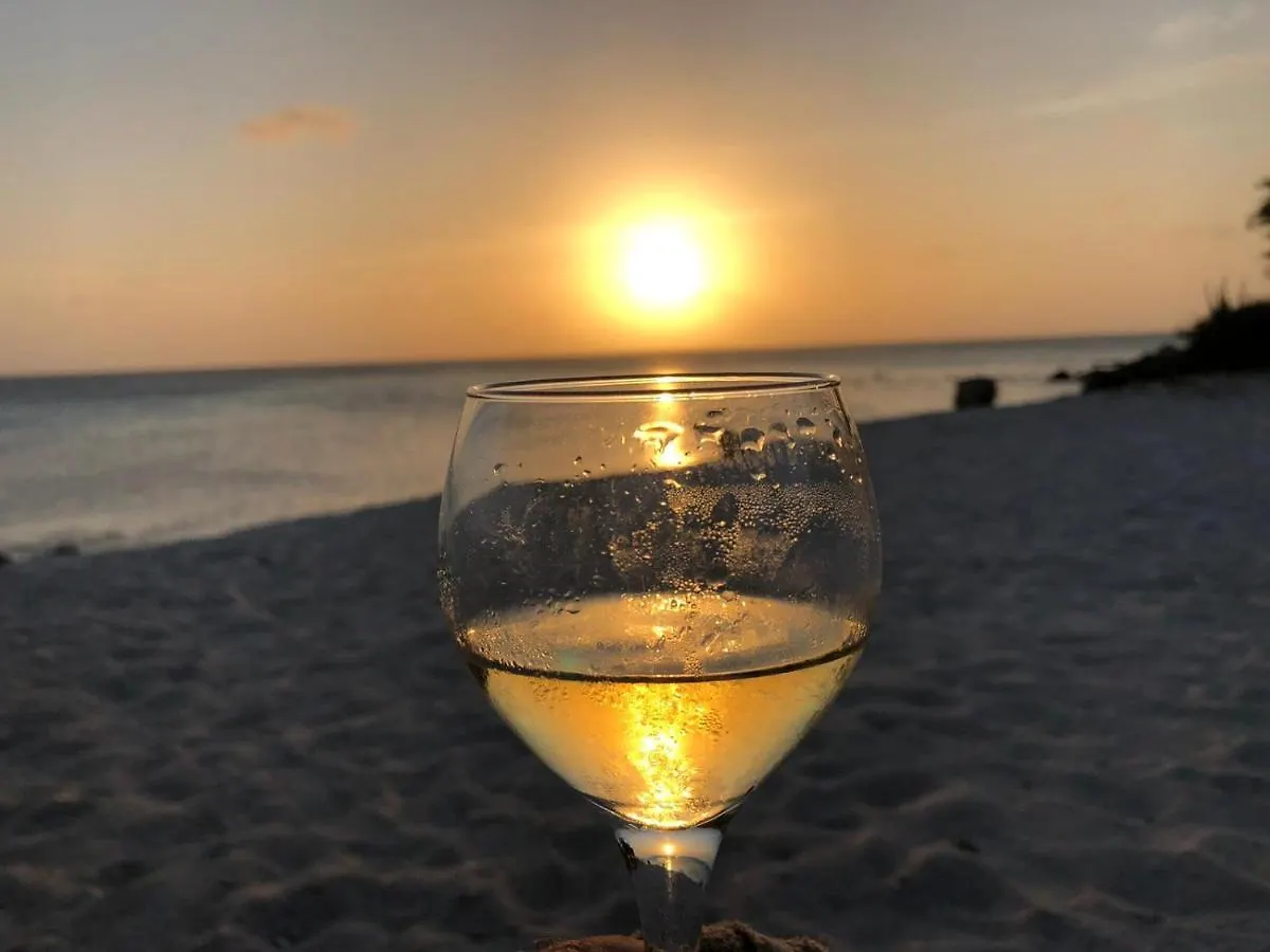 Apartahotel Harmony Hotel Hostel Aruba Tanki Leendert