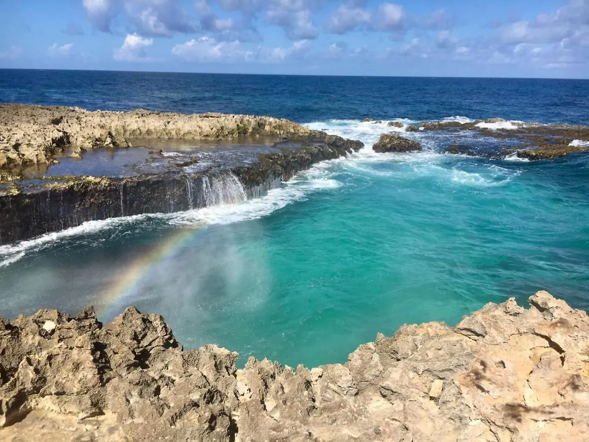 Harmony Hotel Hostel Aruba Tanki Leendert