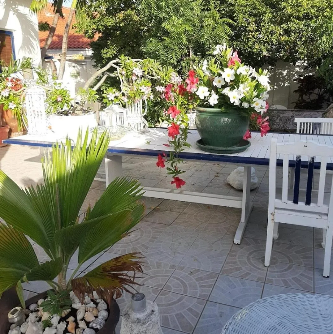 ** Apartahotel Harmony Hotel Hostel Aruba Tanki Leendert Aruba